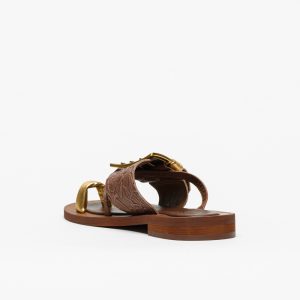 Sandália ABF-97 V1905-215-1 Castanho - Image 3